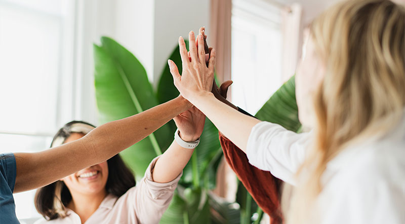 Formación de una cooperativa: personas de confianza