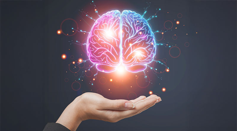 Espaldas que hablan: la sustitución sensorial